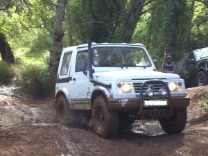 [PICT6842rerd[1].jpg]